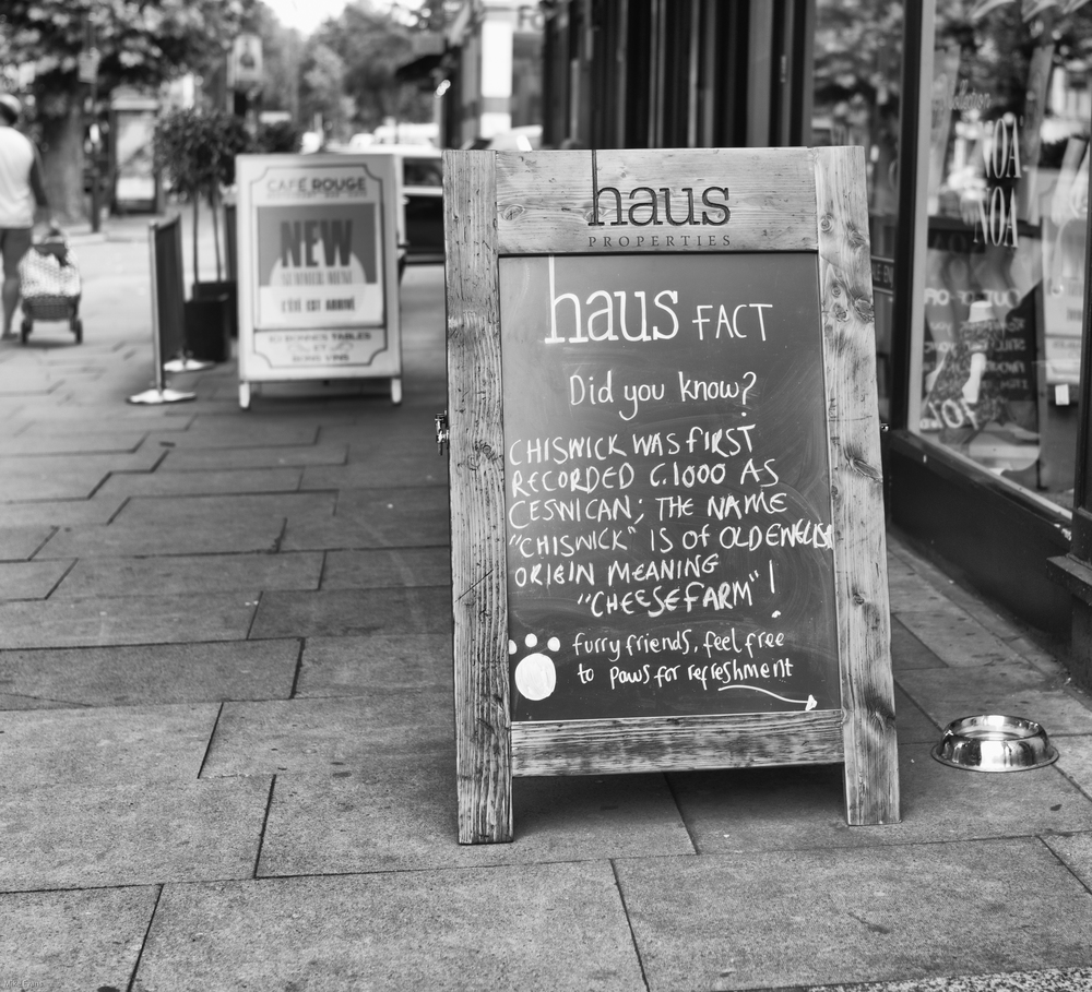 Haus Pets: 35mm Summilux ASPH, 1/2000s at f/2, 320 ISO (Photo Mike Evans)